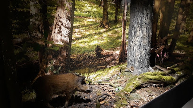 Pomorski Zespół Parków Krajobrazowych