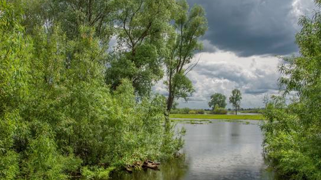 Park Kultury i Wypoczynku