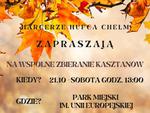 Chełm. Zbieraj kasztany z harcerzami. To nic nie kosztuje, a psy uratuje!