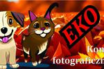 Konkurs fotograficzny!