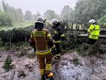 Region. Krajobraz po burzy. Znów powalone drzewa i zalane ulice [ZDJĘCIA]