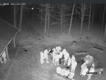 Chełm. Młodzi ludzie, którzy zdewastowali miejsce ogniskowe w Borku, muszą się zgłosić do Nadleśnictwa