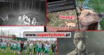 Przegląd informacji z 19 kwietnia 2025. Chełm, Krasnystaw, Włodawa
