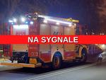 Gm. Chełm. Sześciolatek zaklinowany w rowerku. Ratownicy i strażacy wezwani na pomoc