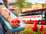Krew pilnie potrzebna. Akcje RCKiK w Chełmie i Krasnymstawie