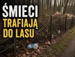 "Szkoda lasu. Jesteśmy bezsilni" - problem przy ROD "RAJ" w Chełmie trwa od lat