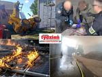 Przegląd informacji z 10 czerwca 2026. Chełm, Krasnystaw, Włodawa