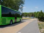 Autobusem nad zalew Żółtańce. Gmina Chełm uruchomiła wakacyjne kursy GKS