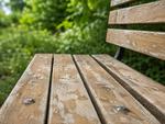 Chełm. Ławki nad Uherką wymagają kapitalnej renowacji. Miasto tłumaczy, dlaczego trzeba poczekać