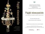 Chełm. "Pająki nieoczywiste" w Muzeum Ziemi Chełmskiej