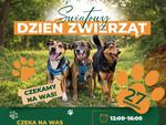 Chełm. Światowy Dzień Zwierząt - rodzinne wydarzenie z adopcjami i pokazami