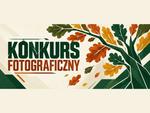 Gmina Chełm. Rusza konkurs fotograficzny "Dęby jesienią - odkrywamy gminę"