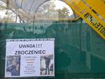 Chełm. Pijany mężczyzna zaczepiał i śledził nastolatkę. Na przystankach rozwieszono ostrzeżenie!