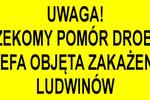 Uwaga! Rzekomy pomór drobiu - wyznaczono strefę objętą zakażeniem na t